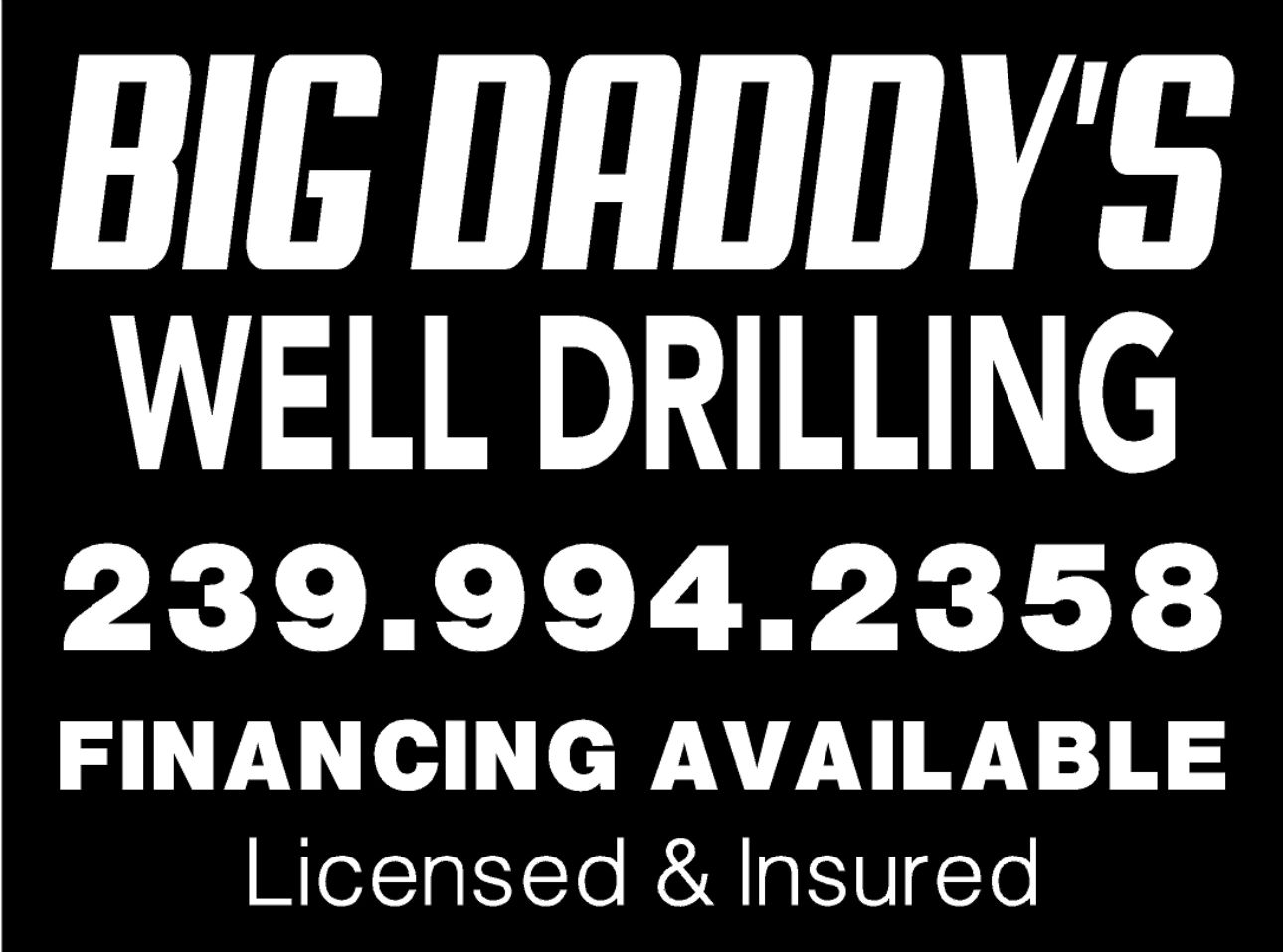 Big Daddy's Well Drilling logo