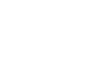 Southern Plumbing of VA logo