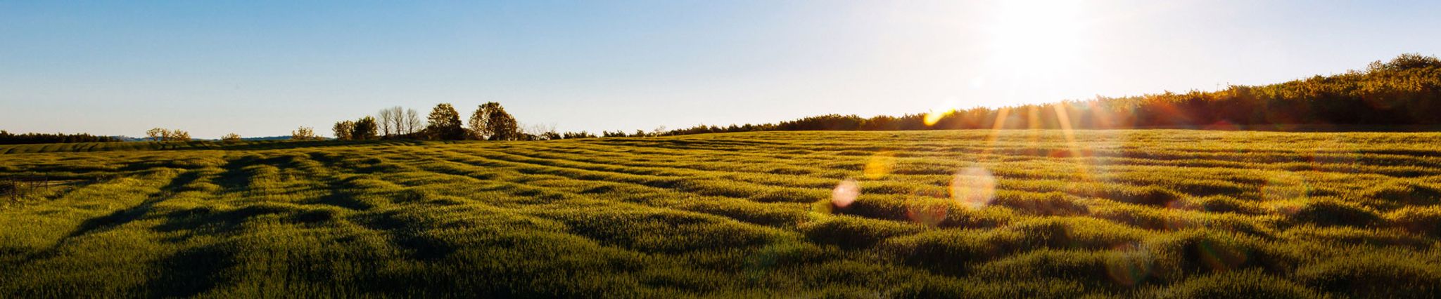 Don Dehay Domestic Well Services logo