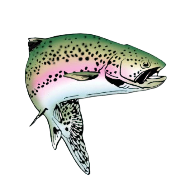 Rainbow Pump Co Inc logo