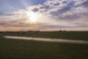 Western Sprinklers, Inc. logo