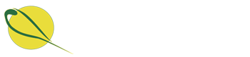 InDepth Directional Drilling logo
