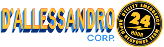 D'Allessandro Corp logo
