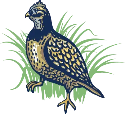Stabil Drill Specialties logo