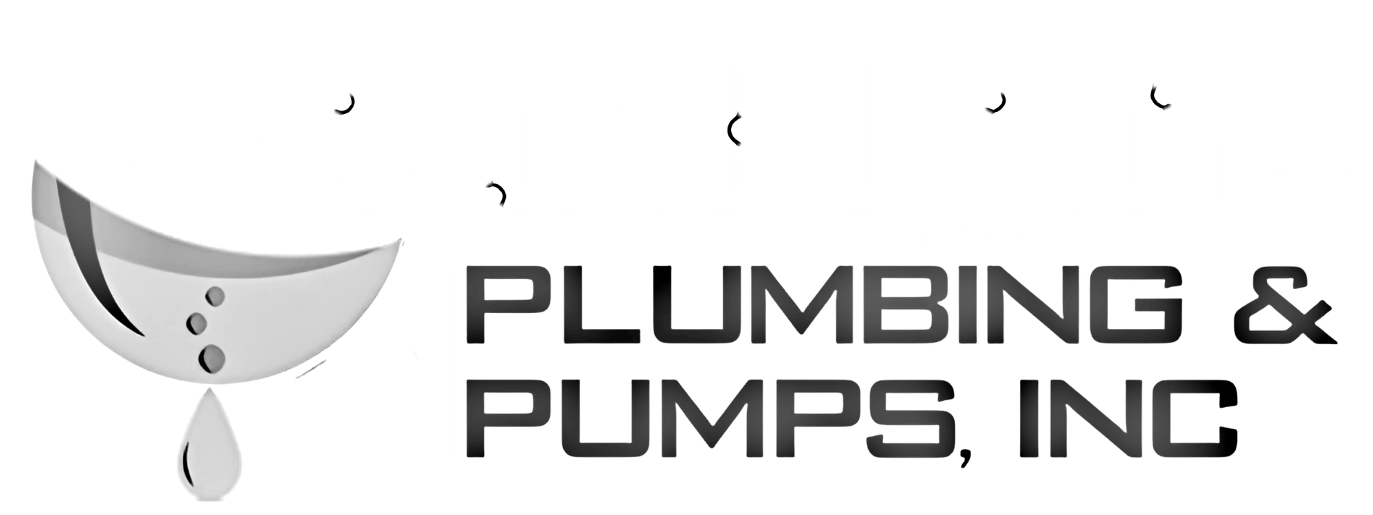 Sauk Plains Plumbing & Pumps Inc logo